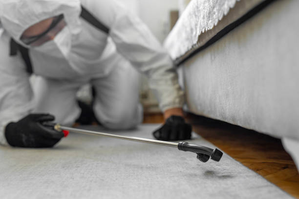 Professional Bed Bug Control technician working in Bradfordville, FL